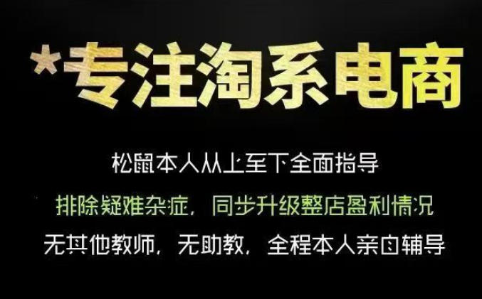 松鼠会电商VIP课程，从基础布局到高阶优化，助你掌握淘宝运营逻辑，提升店铺流量与转化(更新0809)-副业网