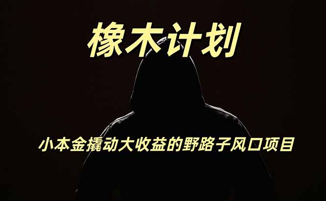 橡木计划，小投入撬动高回报的风口野路子项目，一天投入2小时左右-副业网