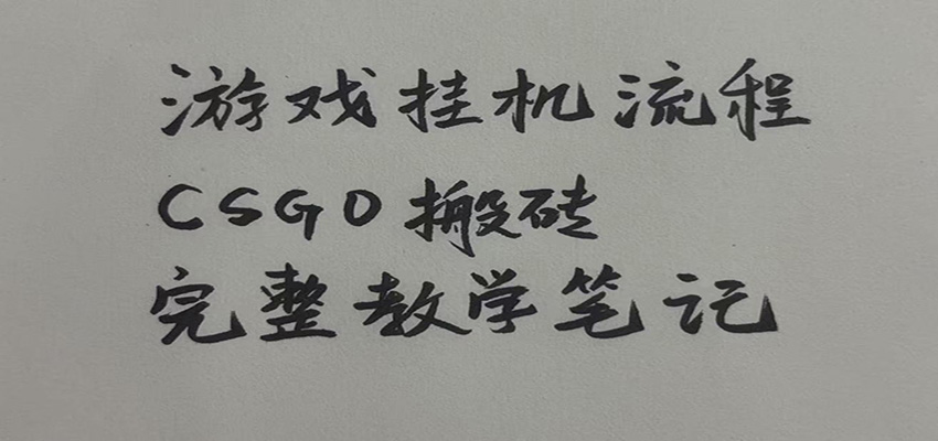 游戏挂机全流程笔记分享，CSGO游戏搬砖，小白看了当天学会见收益-副业网