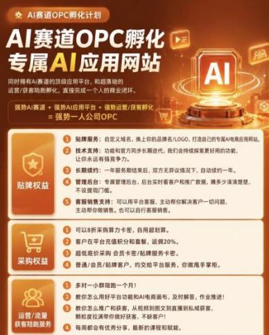 图片[4]-【首发】OPC一人公司项目，单日500+，手机电脑不限制，打造属于自己的品牌画布AI产品，收费陪跑【揭秘】-副业网