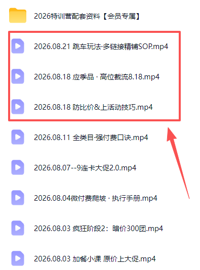 图片[3]-拼多多实战特训营(更新26年0822-副业网