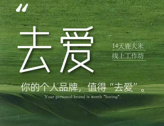 去爱14天鹿大米线上工作坊，你的个人品牌，值得“去爱”-副业网