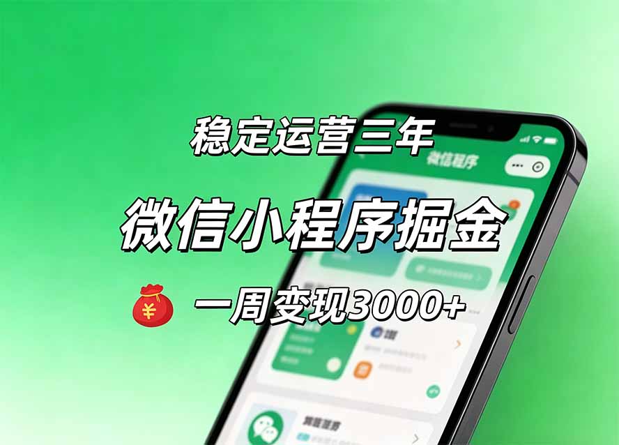 月收益稳定1W+的微信小程序，前期积累客户，后期躺平养老，小白轻松上手-副业网