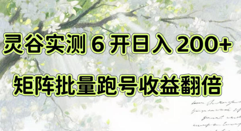 一台电脑就能做！灵谷实测6开日入200+，矩阵批量跑号收益翻倍【揭秘】-副业网
