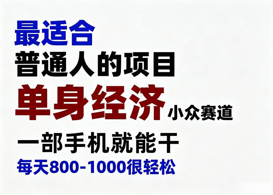 身经济小众赛道，一部手机就能干，每天搞个800-1000很轻松，最适合普通人的项目【揭秘】-副业网