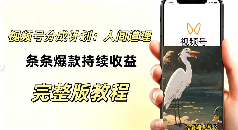 视频号新玩法之AI动漫画风励志视频，不用会画画、不用拍摄，持续化收益，详细拆解-副业网