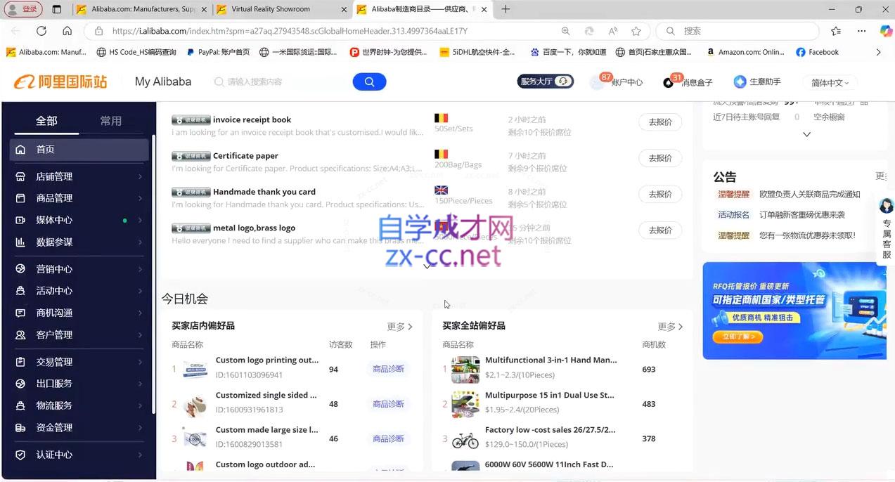 图片[2]-Alisa老师·外贸翻盘实战课程(更新部分)-副业网