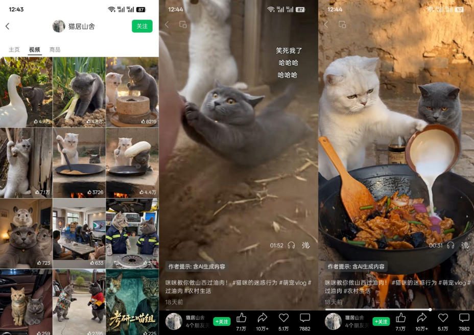 图片[2]-猫咪慢生活短视频教学，AI搞笑萌宠赛道，视频号分成+精选独家+伙伴计划+商单收徒等多种变现方式-副业网