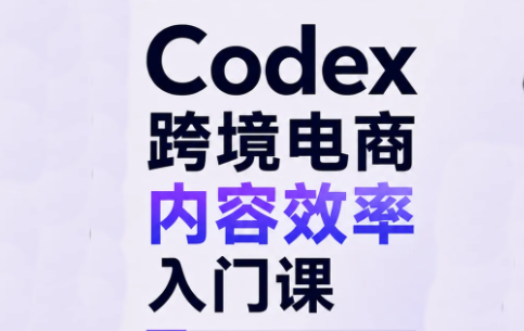 Codex跨境电商内容效率入门课-副业网