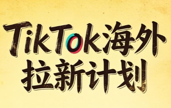 Tc联盟·TikTok海外拉新项目(更新9月)-副业网