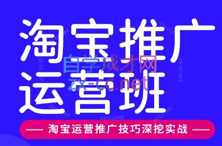 美迪电商·淘宝高级运营班+推广运营班(更新9月)-副业网