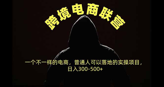 跨境电商联营，一个不一样的电商，普通人可操作日入300-500+-副业网