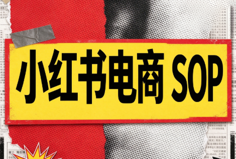 书豪必胜小红书电商sop(更新9月)-副业网
