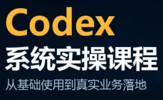 codex系统实操课程(更新10月)-副业网