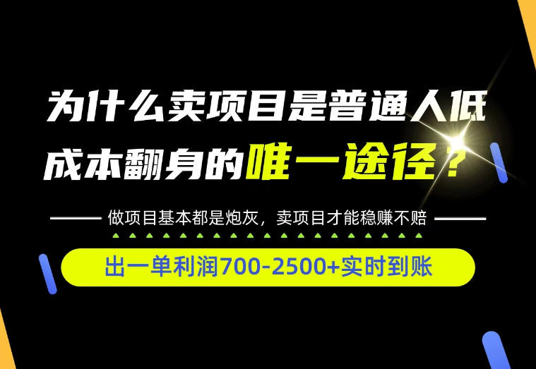普通人如何靠互联网賺取自己的第一桶金！全类目实操型教学，看完你全都懂了！【揭秘】-副业网