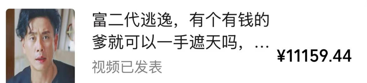 图片[2]-视频号某大佬的影视搬运教学，纯手法操作，可以多个平台可以发布，撸分成计划+伙伴计划+光合计划收益等-副业网