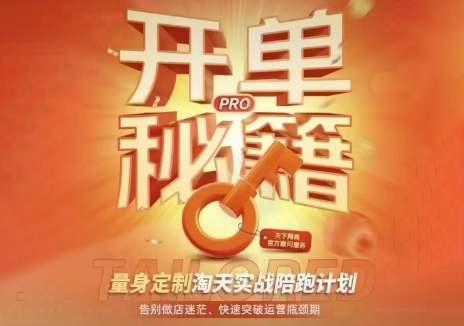 天下网商·淘宝天猫陪跑计划(更新10月)-副业网