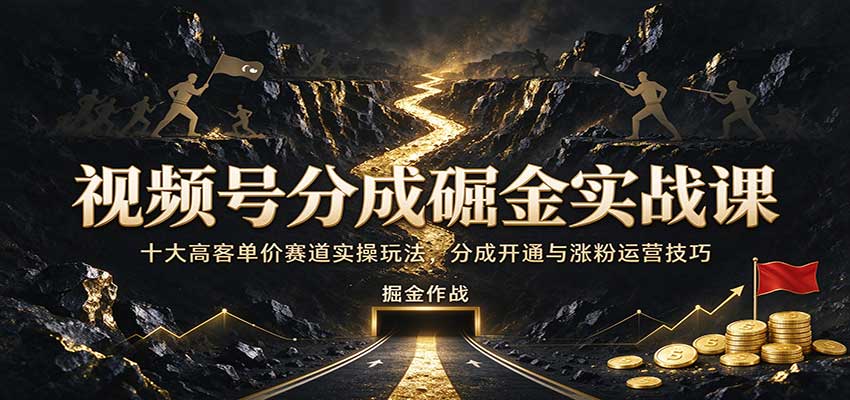 视频号分成掘金实战课：十大高客单价赛道实操玩法，分成开通与涨粉运营技巧-副业网