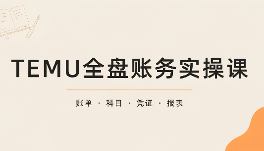 TEMU全盘账务实操课：账单导出、科目设置、利润核算-副业网