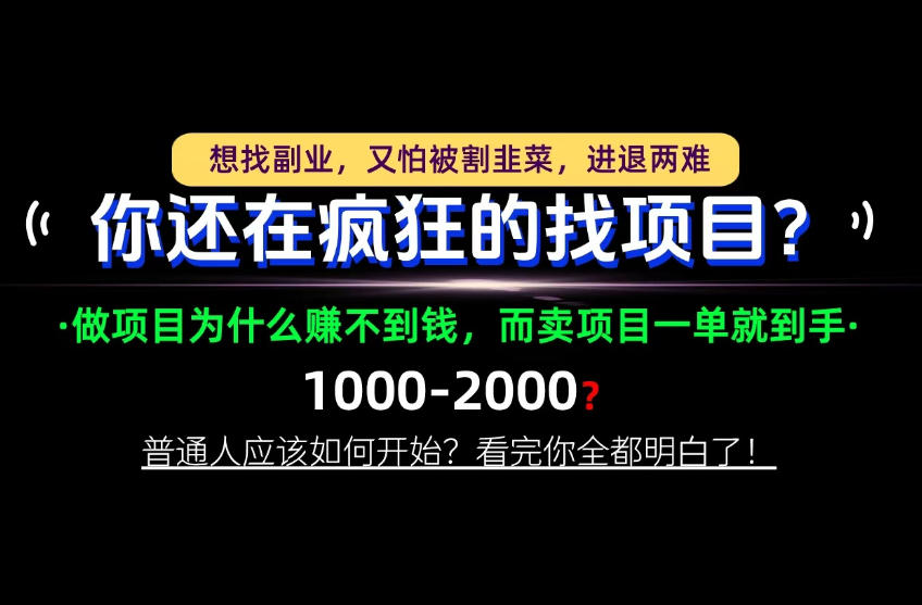 你还在疯狂的找项目?别傻了!卖项目才是真正的一本万利!怎么做,看完你全都明白!【揭秘】-副业网