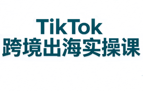 彭老师·TikTok跨境出海实操课-副业网