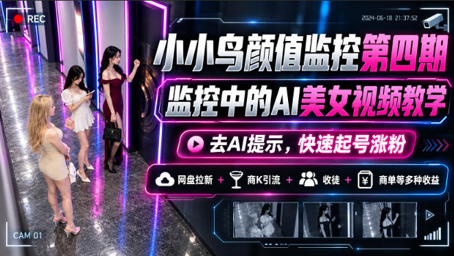 小小鸟颜值监控第四期，监控中的AI美女视频教学，去AI提示，快速起号涨粉，网盘拉新+商K引流+收徒+商单等多种收益-副业网