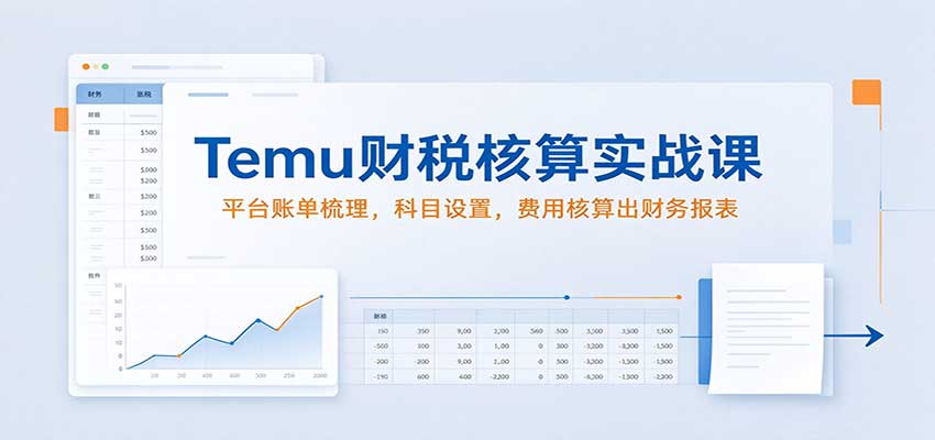 Temu财税核算实战课：平台账单梳理，科目设置，费用核算出财务报表-副业网
