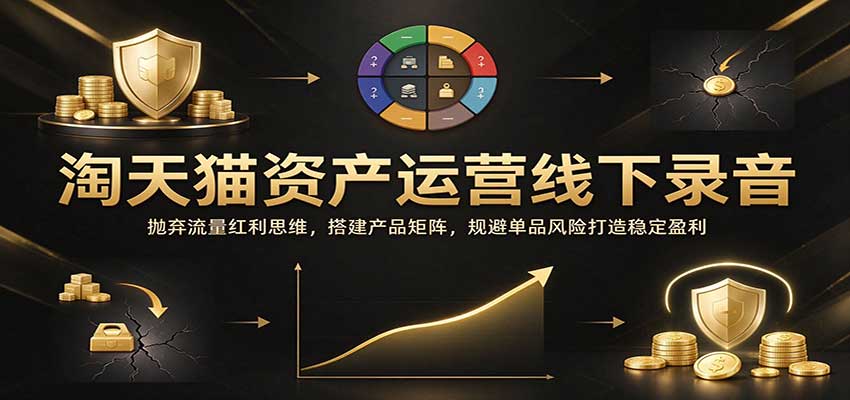 淘天猫资产运营线下录音：抛弃流量红利思维，搭建产品矩阵，规避单品风险打造稳定盈利-副业网