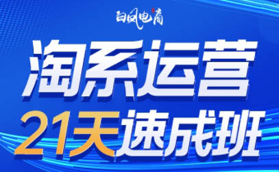 白凤电商·淘系运营21天速成班(更新10月)-副业网