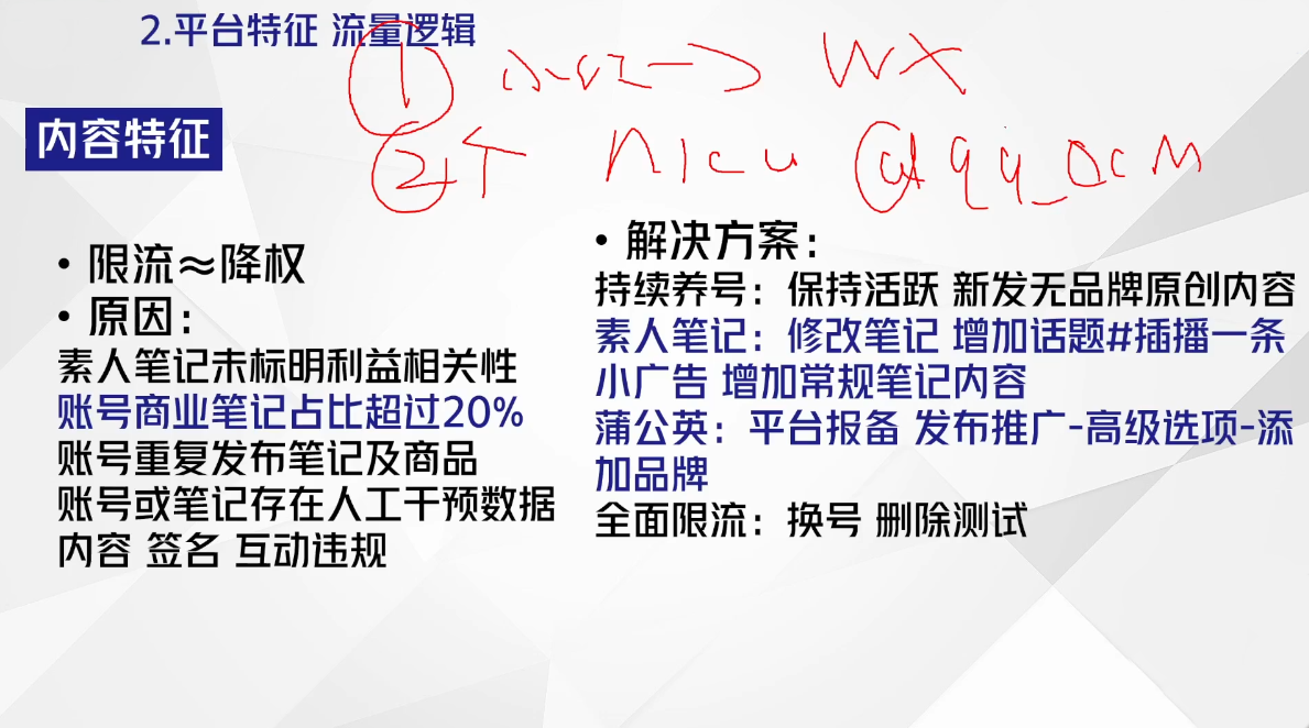 尼采老师·小红书爆单系列课-副业网