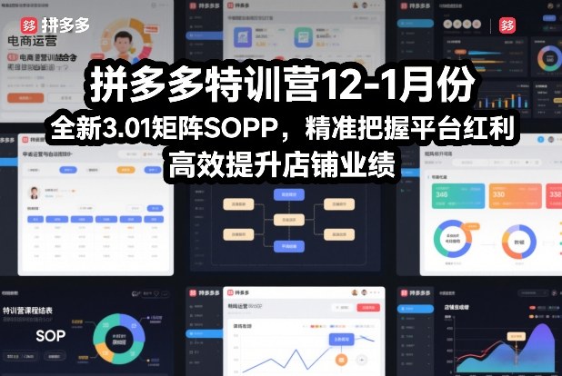拼多多特训营12-1月份，全新3.01矩阵Sop，精准把握平台红利，高效提升店铺业绩-副业网